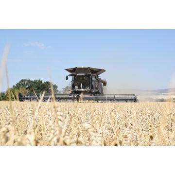 Markt Pro - Brennpunkt Schwarzmeer - Was die Getreideblockade für unsere Preise bedeutet