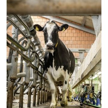 Dairy Event 2025 - 18.11.2025 in Verden