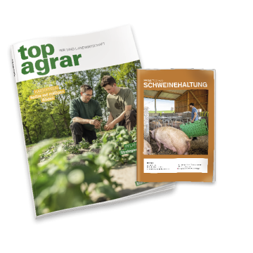 top agrar Schwein - Monatsabo-Aktion
